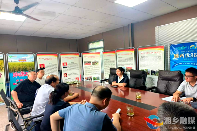 [山枣镇]低镉水稻亩产825公斤 银发专家种出"放心粮"