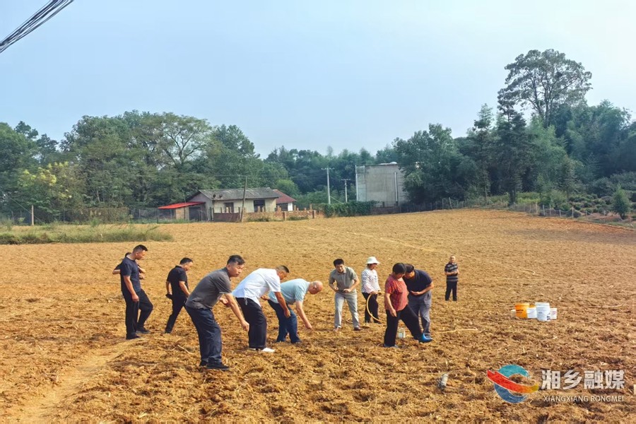 [潭市镇]栽萝卜、看辣酱！  驻村干部沉浸式“打卡”九仑村