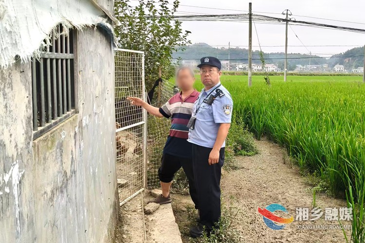 [公安局]偷鸡“搭档”栽了 收赃“下家”也没跑掉